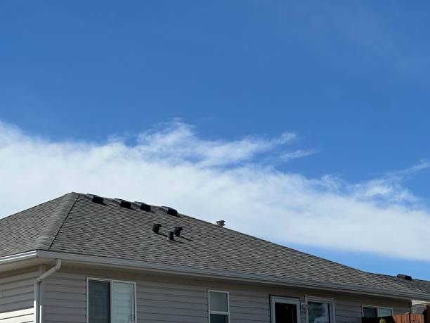 Best Wood Shake Roofing  in Frankfort Square, IL